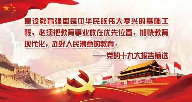 可爱的小考拉